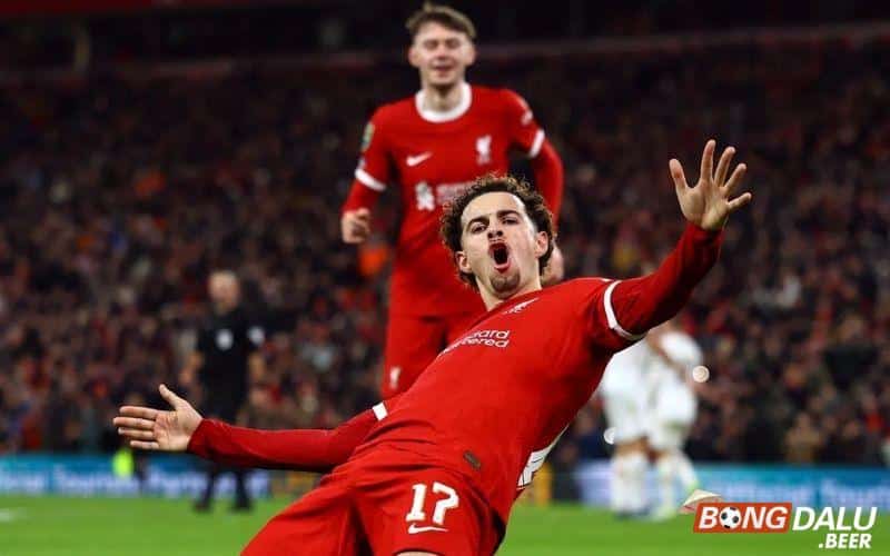 Nhận định soi kèo Liverpool vs Fulham, 03h00 ngày 11/01/2024 - Carabao Cup