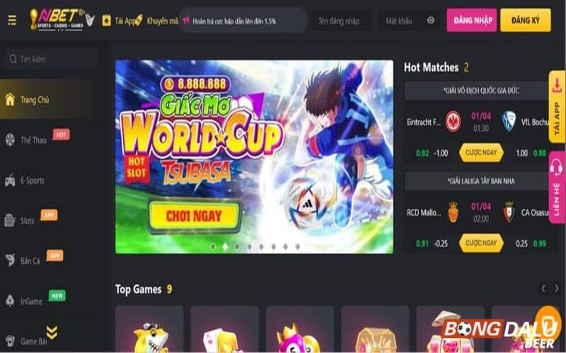 Một số thông tin tổng quan về nhà cái cá cược Nbet